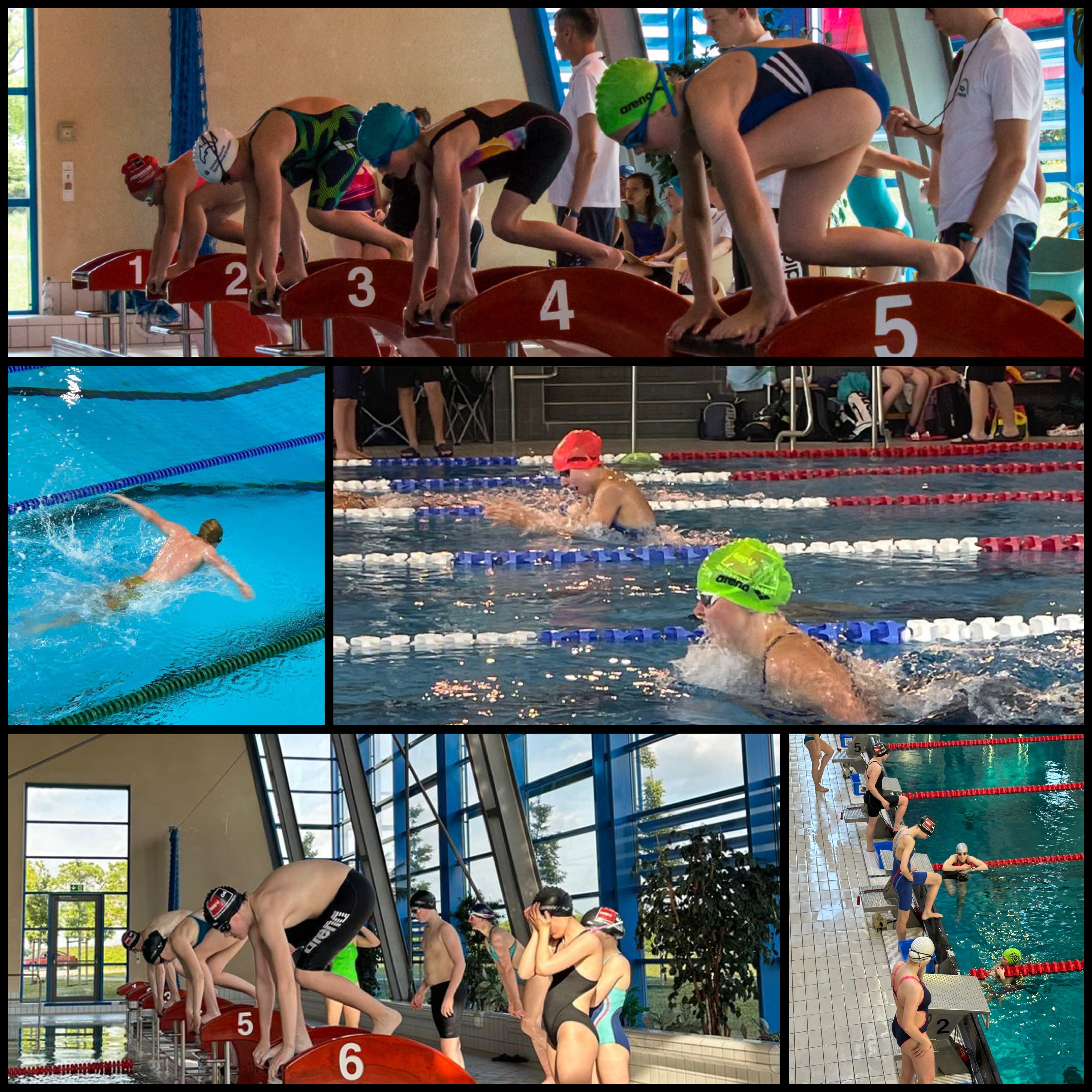 MSV freut sich über neuen Nachwuchs