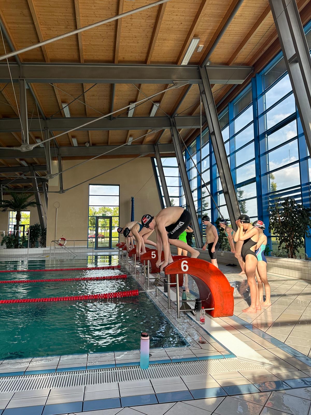 Großer Andrang beim Sichtungsschwimmen